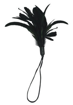 Sportsheets Pleasure Feather
